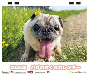 y\̔z pÔ  2026N J_[ TC26160