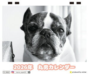 y\̔z  ےj t`uhbO  2026N J_[ TC26177