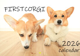 【予約販売】 初めてのコーギー 犬 2026年 壁掛けカレンダー KA26178