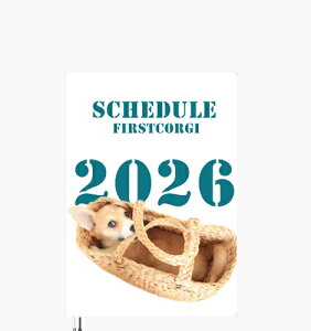 y\̔z ߂ẴR[M[  2026N A5XPW[ A526180