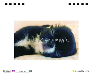 y\̔z BABY UNI `  2026N S J_[ TA26019