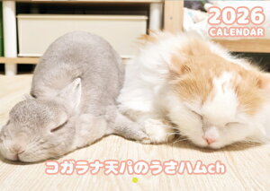 y\̔z ̃RKiVp̂nch 2026N Ǌ|J_[ KA26190