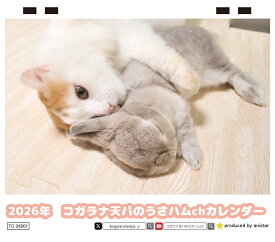 【予約販売】 うさぎのコガラナ天パのうさハムch 2026年 卓上カレンダー TC26191