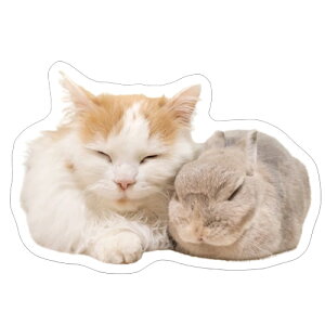 y\̔z ̃RKiVp̂nch V[ 5Zbg SE013NN