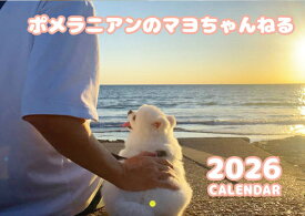 【予約販売】 ポメラニアンのマヨちゃんねる 犬 2026年 壁掛けカレンダー KK26221