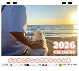 【予約販売】 ポメラニアンのマヨちゃんねる 犬 2026年 卓上カレンダー TC26222