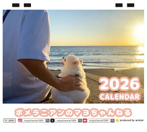 y\̔z |jÃ}˂  2026N J_[ TC26222