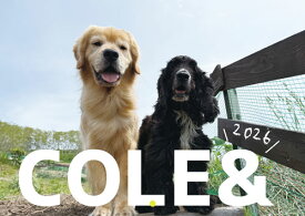 【予約販売】 ゴールデンレトリバー犬のこーる君たち 2026年 壁掛けカレンダー KA26232