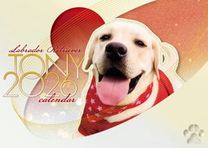 y\̔z TONY uh[go[  2026N Ǌ|J_[ KK26239