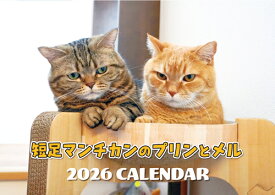 【予約販売】 短足マンチカンのプリンとメル 2026年 壁掛けカレンダー KA26266