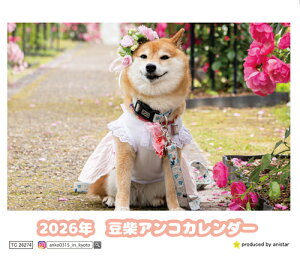 y\̔z ăAR  2026N J_[ TC26274