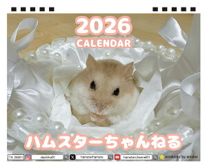 y\̔z nX^[˂ 2026N J_[ TA26284