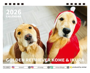 y\̔z R&CN S[fgo[  2026N  J_[ TA26287