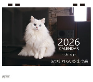 【予約販売】 あつまれちいかまの森 猫 2026年 卓上 カレンダー TC26293