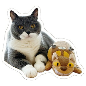 y\̔z L̃ER V[ 5Zbg SE021NN