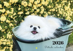 y\̔z |e`  L̃ƌ̃|e`˂ 2026N Ǌ| J_[ KA26304