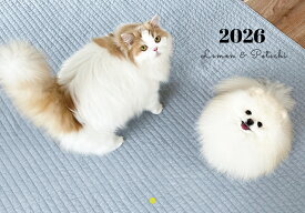 【予約販売】 レモンとポテチ 猫 犬 猫のレモンと犬のポテチちゃんねる 2026年 壁掛け カレンダー KA26305