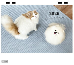 y\̔z ƃ|e` L  L̃ƌ̃|e`˂ 2026N  J_[ TC26308