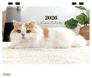 y\̔z  L L̃ƌ̃|e`˂ 2026N  J_[ TC26309