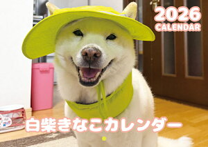 y\̔z  Ȃ  2026N Ǌ| J_[ KA26321