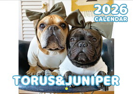 【予約販売】 フレンチブルドッグ torus トーラス 犬 2026年 壁掛け カレンダー KK26034