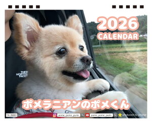 y\̔z |jÃ|  2026N S J_[ TA26346