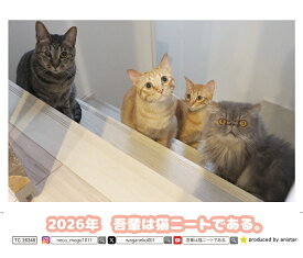 【予約販売】 吾輩は猫ニートである。 2026年 卓上 カレンダー TC26348