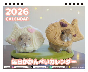 y\̔z ̖؂ 2026N  J_[ TA26004