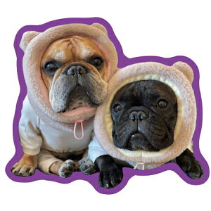 y\̔z t`uhbO torus g[X  XebJ[ 3Zbg SU001NN