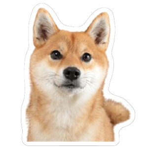 y\̔z AL pO Č XebJ[ 3Zbg SU002NN