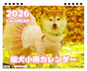 y\̔z Č J 2026N  J_[ TA26006