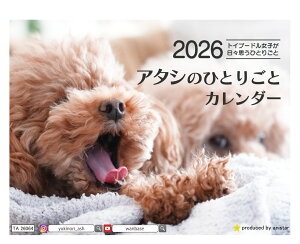 y\̔z WA gCv[h  2026N J_[ TA26064