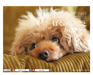 y\̔z fBm gCv[h  2026N J_[ TA26065