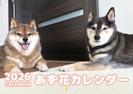 【予約販売】 柴犬のあず花 2026年 壁掛け カレンダー KA26069