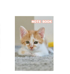 �y�\��̔��z ��y�͔L�j�[�g�ł���B A5�m�[�g�� No014NN