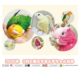 【予約販売】 2羽と暮らすあんずちゃんねる インコ 2026年 卓上 カレンダー TC26342