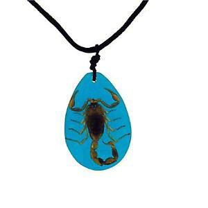 yzlbNX@RNVOhNvthe olivia collection grand insecte collier vrai scorpion set en bleu rsine