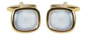 �y���������z�����Y�A�N�Z�T��?�@�N�b�V�����S�[���h�v���[�gmother of pearl large cushion stone gold plate cufflink