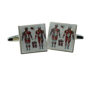 �y���������z�����Y�A�N�Z�T��?�@�J���e�J�t�X�����Nx2bocs056medical chart design cufflinks x2bocs056