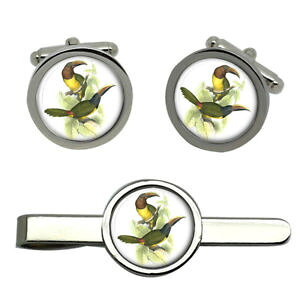�y���������z�����Y�A�N�Z�T��?�@�G�h���[�h���A���E���h�^�C�N���b�v�Z�b�ggreen aracari by edward lear round cufflink and tie clip set