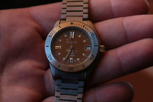 �y���������z�r���v�@�E�H�b�`�@���X�N�H�[�csquale squirrell quartz 20 atmos