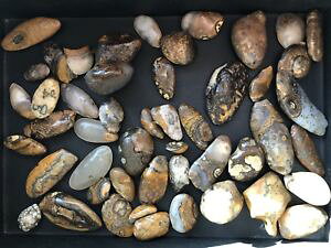 �y���������z�u���X���b�g�@�A�N�Z�T��?�@���V�����S�rgla shan gobi natural 100 eye agate rough stone 100g