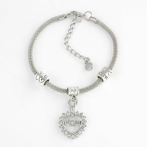 �y���������z�u���X���b�g�@�A�N�Z�T��?�@�f�w���cas de34404 trendy silber strass herz worter familie zink legierung metall charm