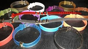 �y���������z�u���X���b�g�@�A�N�Z�T��?�@�u���X���b�g�V���R�[���G�f�B�V����bracelet en silicone nom edition 10mm x 20cm pour coulissant breloque courrier
