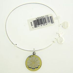 yzC^A@uXbg@AbNXCtGiy_g^uXbgnuova alex e ani zest for life ii ciondolo smaltato bracciale rigido con