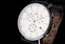 【送料無料】腕時計　アルジェントポmens bontempo argento wristwatch from capotime