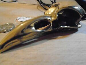 yzANZT[@lbNXoCJ[y_glbNXOwiccabiker masiva raven skull latn colgante collar 325 longitud 81 gramos