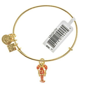 �y���������z�A�N�Z�T���[�@�l�b�N���X�A���b�N�X�S�[���h�u���X���b�g���u�X�^�[���j�Z�t�G�R�[��alex and ani langosta unicef oro brazalete cbd 16 lsygrrp 33