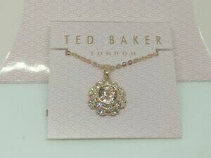 yzANZT[@lbNXebhx[J[fCW[[YS[hXtXL[uAguC_XC[g