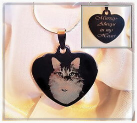 【送料無料】アクセサリー　ネックレステキストタグカスタムネックレスtexto y foto grabado en la etiqueta de perro corazn, collar personalizado